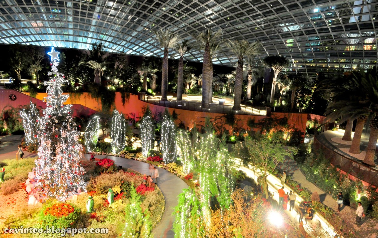 Entree Kibbles Flower Dome [花穹] at Night Gardens by the Bay, Bay South